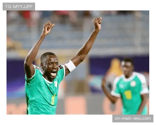 塞内加尔库利巴利状态下滑隐忧 中卫搭档选择将直接影响高位防守风险